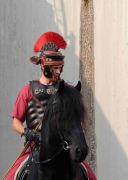 Concorso Picchiatelli 2014 (120 di 265)
